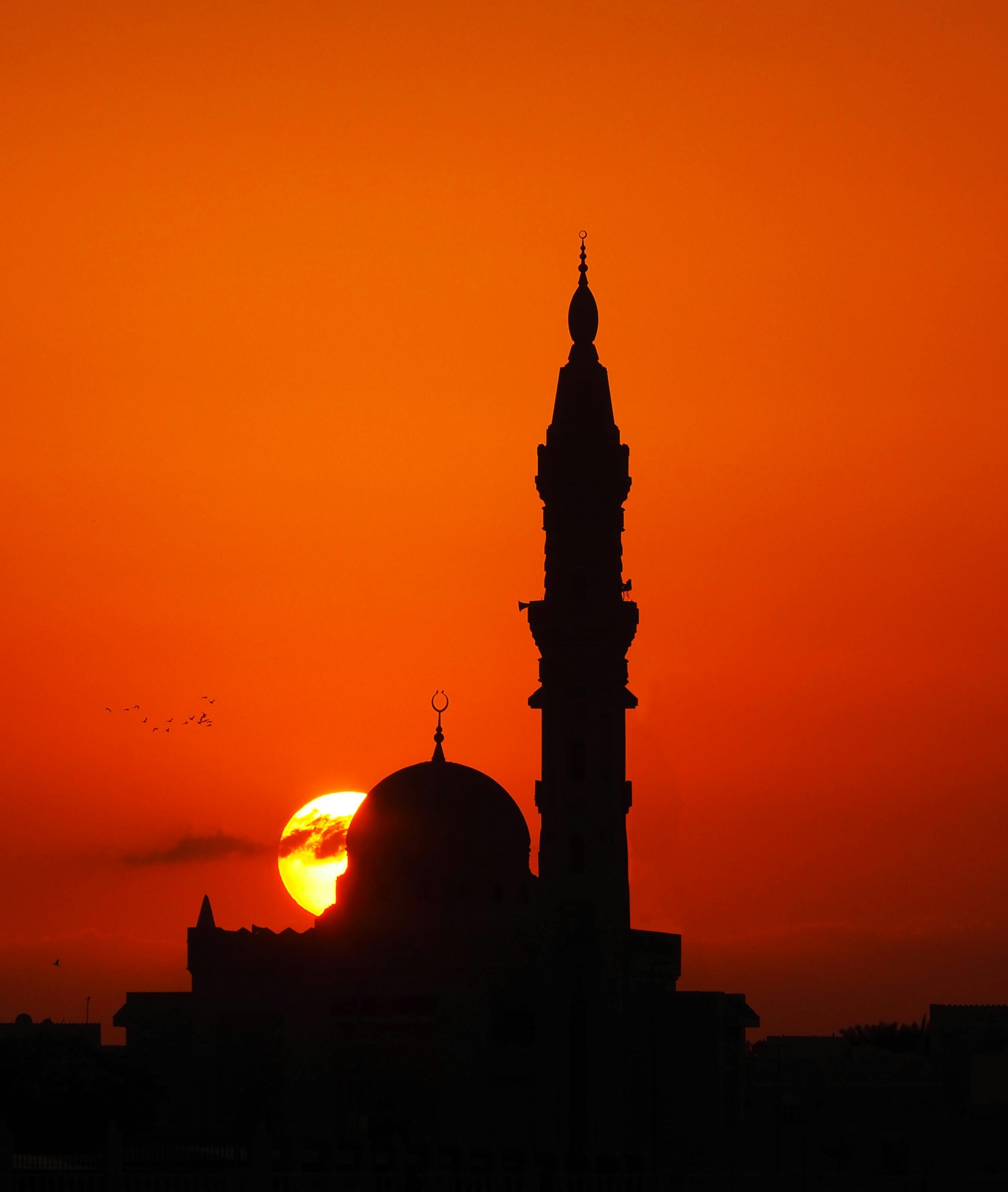 Home Stunning silhouette of a mosque and minaret against an orange sunset in Dubai.